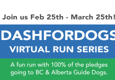 This year’s RunGo Dash for Dogs announced as special Virtual Race Series – Sign up today!