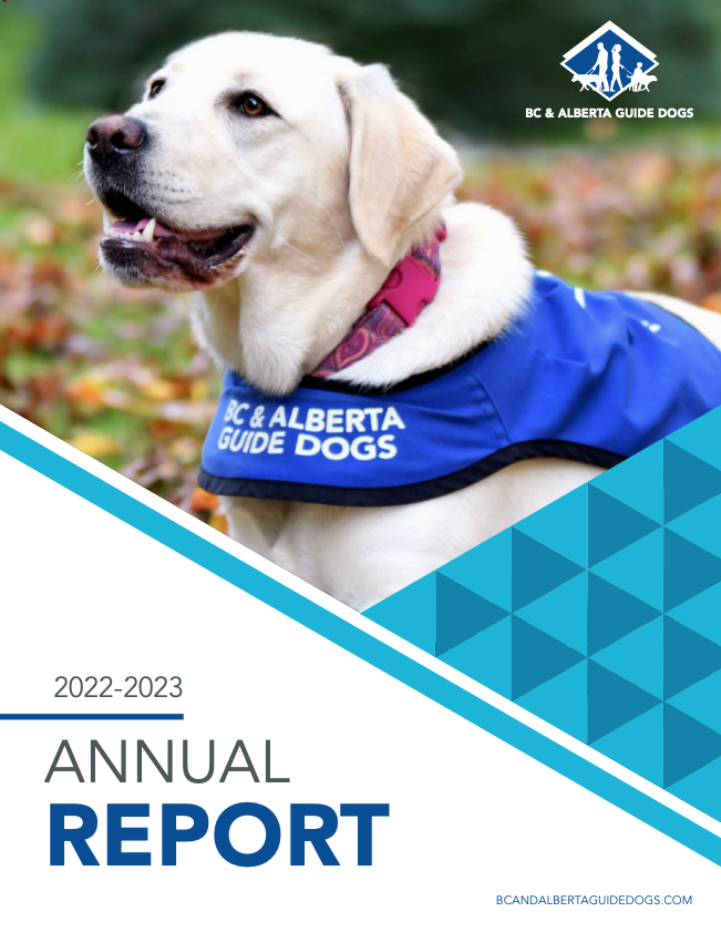 Guide dog by the water.