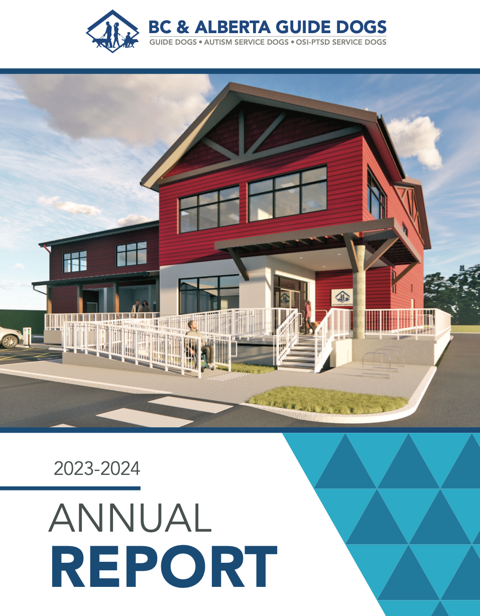 Puppy on construction site cover image