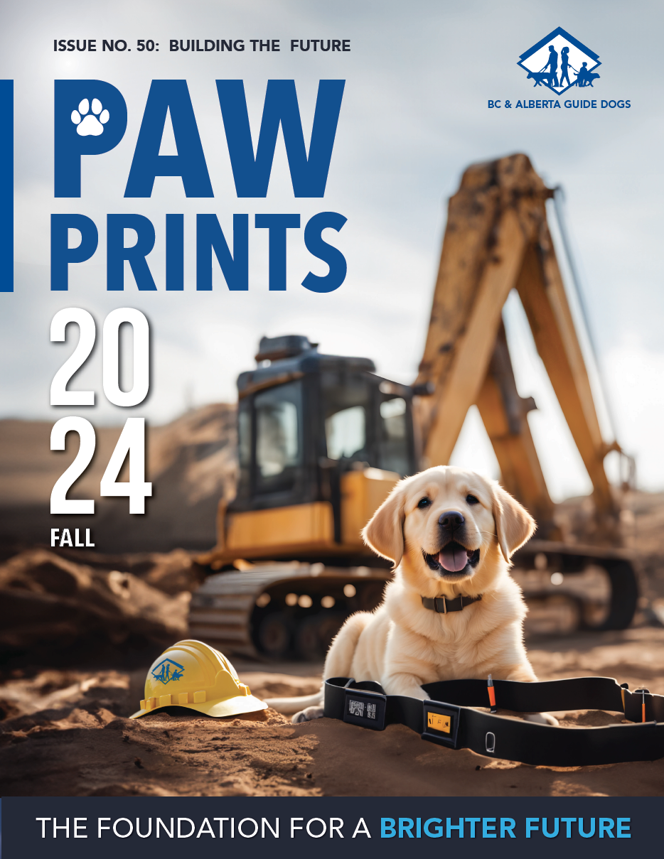 Puppy on construction site cover image