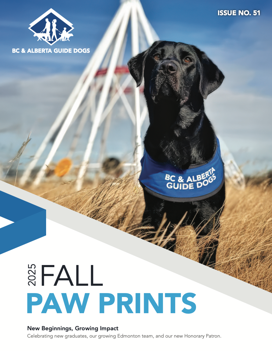 Black dog in guide dog vest