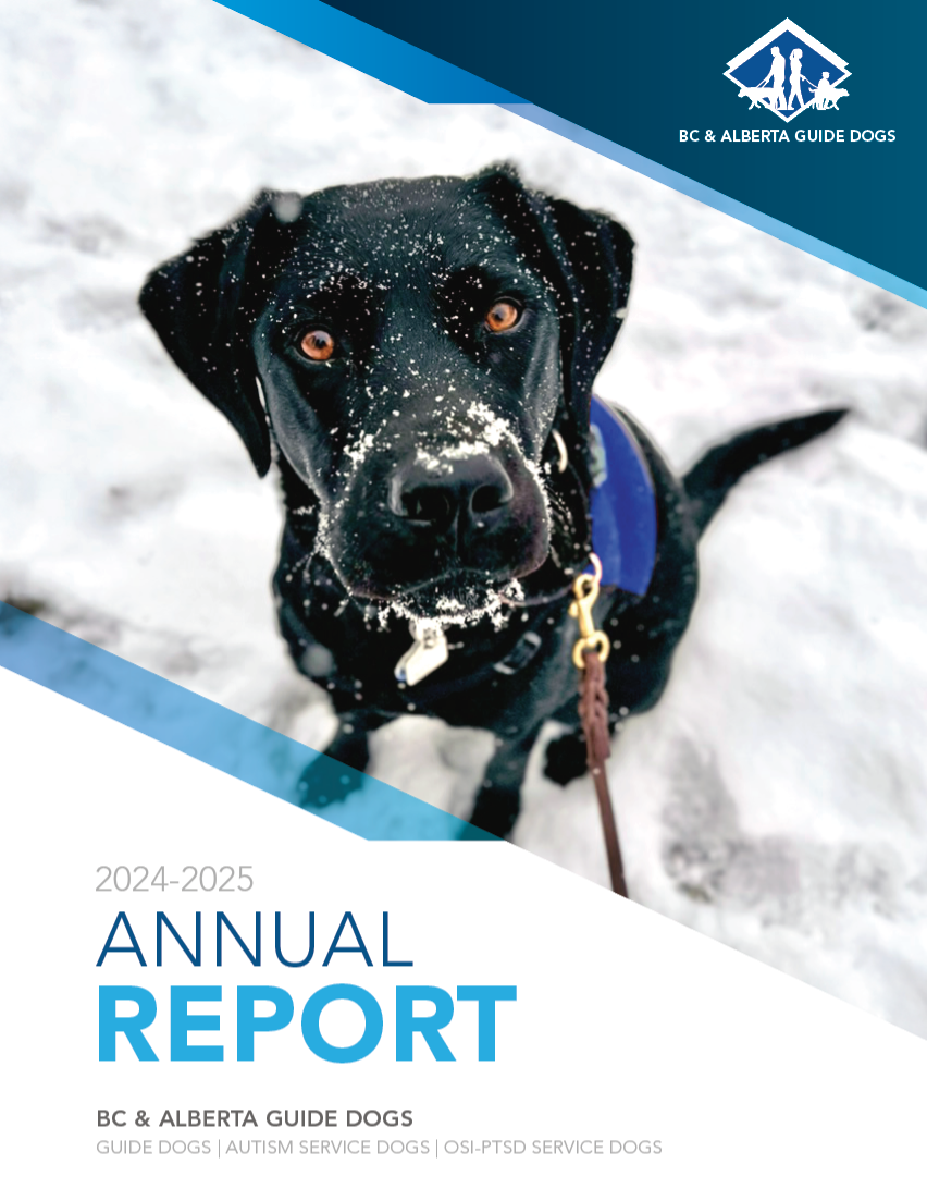 Black dog in guide dog vest